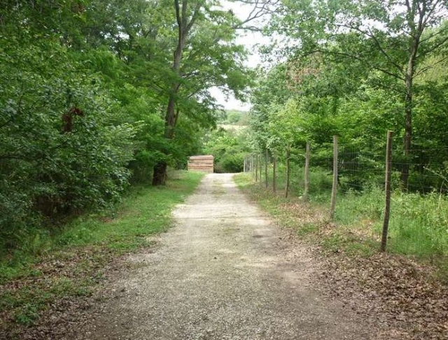  Wooded trails in the park 